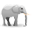 Elefante